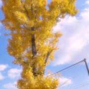 ヒメ日記 2024/12/11 13:19 投稿 咲桜りおん(さくらりおん) 九州熟女　熊本店