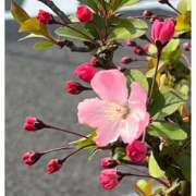 ヒメ日記 2025/03/28 23:08 投稿 みい 奥鉄オクテツ東京店（デリヘル市場）