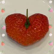 ヒメ日記 2025/03/29 14:18 投稿 みい 奥鉄オクテツ東京店（デリヘル市場）