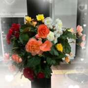 ヒメ日記 2025/10/27 12:15 投稿 みい 奥鉄オクテツ東京店（デリヘル市場）