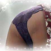 ヒメ日記 2025/11/12 14:23 投稿 みい 奥鉄オクテツ東京店（デリヘル市場）