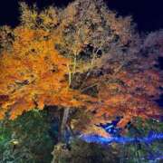 ヒメ日記 2025/12/14 09:57 投稿 えれな Grace東京