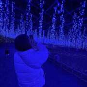 ヒメ日記 2025/12/16 15:47 投稿 えれな Grace東京