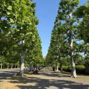 ヒメ日記 2026/06/01 13:17 投稿 えれな Grace東京
