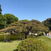 ヒメ日記 2026/06/02 19:37 投稿 えれな Grace東京