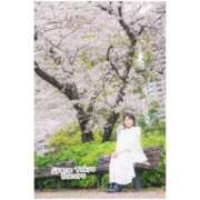 ヒメ日記 2026/03/06 22:57 投稿 心 Grace東京