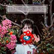 ヒメ日記 2025/10/25 20:37 投稿 みなみ Grace東京