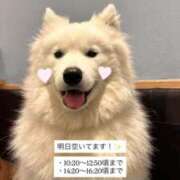 ヒメ日記 2026/04/16 15:07 投稿 みなみ Grace東京