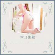 ヒメ日記 2026/08/01 11:57 投稿 優菜 Grace東京