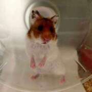 ヒメ日記 2025/08/02 09:27 投稿 リク Grace東京