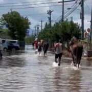 ヒメ日記 2025/08/11 09:57 投稿 リク Grace東京