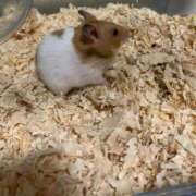 ヒメ日記 2025/09/02 09:27 投稿 リク Grace東京