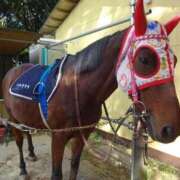 ヒメ日記 2025/09/10 09:17 投稿 リク Grace東京