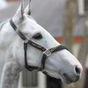 ヒメ日記 2025/09/14 10:19 投稿 リク Grace東京