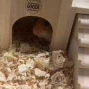 ヒメ日記 2025/09/15 09:47 投稿 リク Grace東京