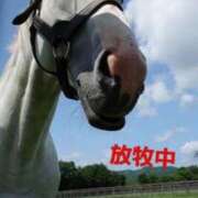 ヒメ日記 2025/09/20 09:19 投稿 リク Grace東京