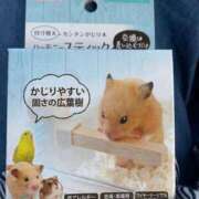 ヒメ日記 2025/09/24 12:07 投稿 リク Grace東京