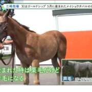 ヒメ日記 2025/10/07 09:17 投稿 リク Grace東京