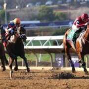 ヒメ日記 2025/11/02 09:07 投稿 リク Grace東京