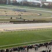 ヒメ日記 2025/11/24 09:32 投稿 リク Grace東京