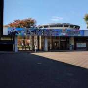 ヒメ日記 2025/11/25 09:47 投稿 リク Grace東京