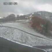 ヒメ日記 2025/11/29 09:33 投稿 リク Grace東京