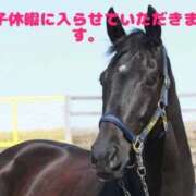 ヒメ日記 2025/12/11 09:57 投稿 リク Grace東京