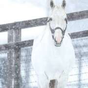 ヒメ日記 2025/12/16 10:47 投稿 リク Grace東京