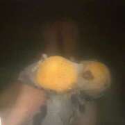 ヒメ日記 2025/12/23 09:33 投稿 リク Grace東京