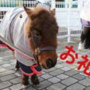 ヒメ日記 2025/12/29 20:41 投稿 リク Grace東京