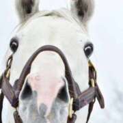 ヒメ日記 2025/12/30 09:27 投稿 リク Grace東京