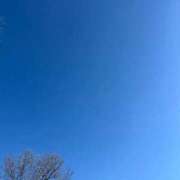 ヒメ日記 2026/01/17 09:27 投稿 リク Grace東京