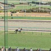 ヒメ日記 2026/01/18 10:27 投稿 リク Grace東京