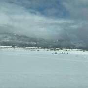 ヒメ日記 2026/01/22 09:27 投稿 リク Grace東京