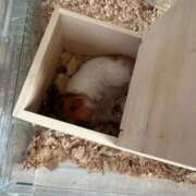 ヒメ日記 2026/01/29 09:17 投稿 リク Grace東京