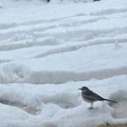 ヒメ日記 2026/02/08 23:37 投稿 リク Grace東京