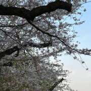 ヒメ日記 2026/03/02 18:47 投稿 リク Grace東京