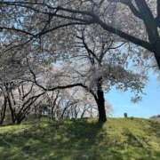 ヒメ日記 2026/03/14 09:27 投稿 リク Grace東京