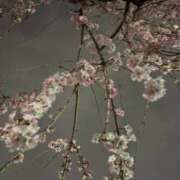 ヒメ日記 2026/03/17 09:47 投稿 リク Grace東京