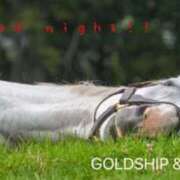 ヒメ日記 2026/03/19 23:17 投稿 リク Grace東京