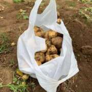 ヒメ日記 2026/04/07 09:32 投稿 リク Grace東京