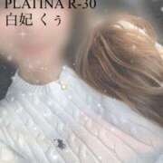 ヒメ日記 2023/12/12 12:12 投稿 白妃　くぅ PLATINA R-30（すすきの）