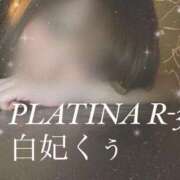 ヒメ日記 2024/12/21 09:19 投稿 白妃　くぅ PLATINA R-30（すすきの）