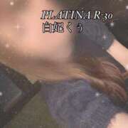ヒメ日記 2024/12/29 09:18 投稿 白妃　くぅ PLATINA R-30（すすきの）