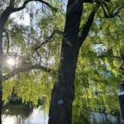 ヒメ日記 2025/09/26 09:30 投稿 白妃　くぅ PLATINA R-30（すすきの）