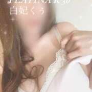 ヒメ日記 2025/11/23 10:28 投稿 白妃　くぅ PLATINA R-30（すすきの）