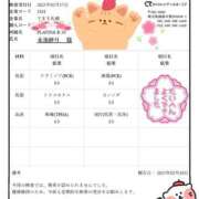 ヒメ日記 2025/02/22 19:28 投稿 永池　紗月 PLATINA R-30（すすきの）