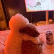 ヒメ日記 2024/12/13 12:15 投稿 ゆん 敏感！逆エステ錦糸町