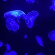 ヒメ日記 2025/05/16 10:35 投稿 もな スピードエコ梅田店