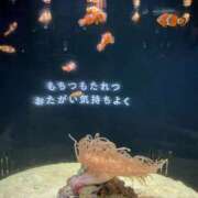 ヒメ日記 2025/04/24 11:42 投稿 ゆう モアグループ熊谷人妻花壇